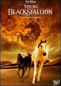 Disney Young Black Stallion