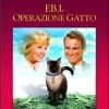 Disney FBI Operazione Gatto -Disney 8717418351144 0 536 0 75