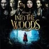 Into The Woods -Disney 8717418451318 0 536 0 75